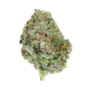 God's Green Crack - Hybrid