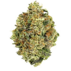 Pink Kush - Indica