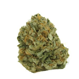Bruce Banner - Sativa