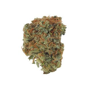 Blue Dream - Sativa dominant hybrid