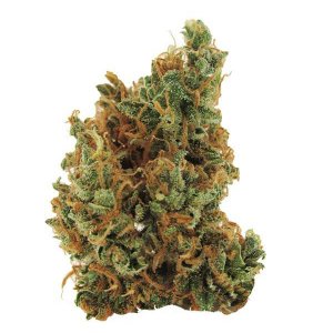 Dieseltonic CBD