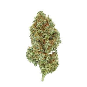 Space Queen - Sativa dominant hybrid