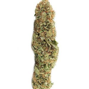Red Congolese - Sativa Dominant
