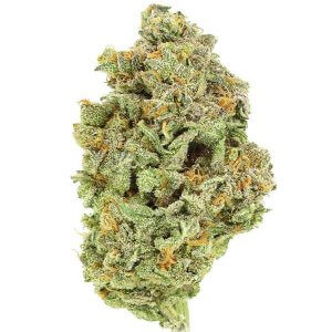 Nuken - Indica Hybrid