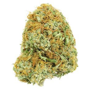 Lindsay OG - SH - Indica