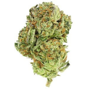 Master Kush North - Indica