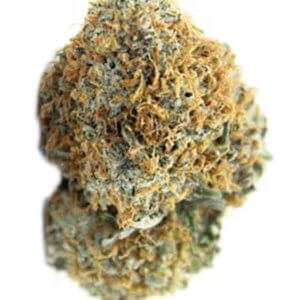 Blue Heron - Indica dominant strain